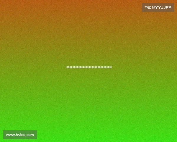 晋江体育馆盛大体育赛事火热启动，多项目竞技精彩纷呈点燃全民热情