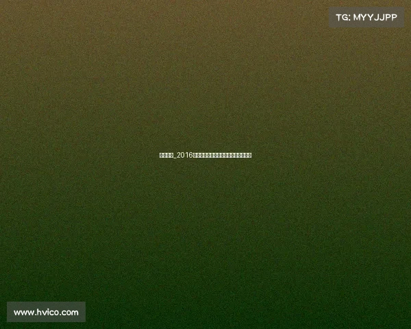 搏击冠军_2016搏击赛事统计报告:激战风云全景扫描